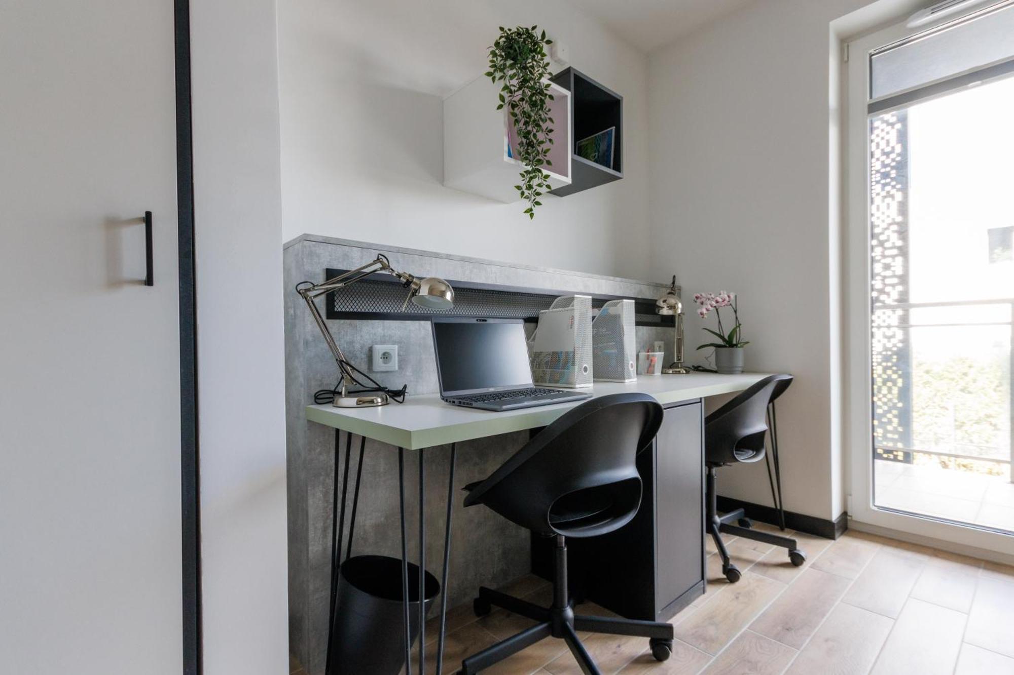 Apartment Zeus Economy